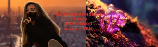 гидра Алзамай