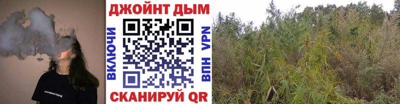 Бошки марихуана семена  Купить закладки  Краснообск 